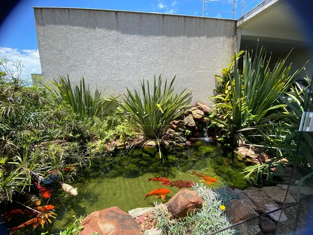 Jardim junto à fachada